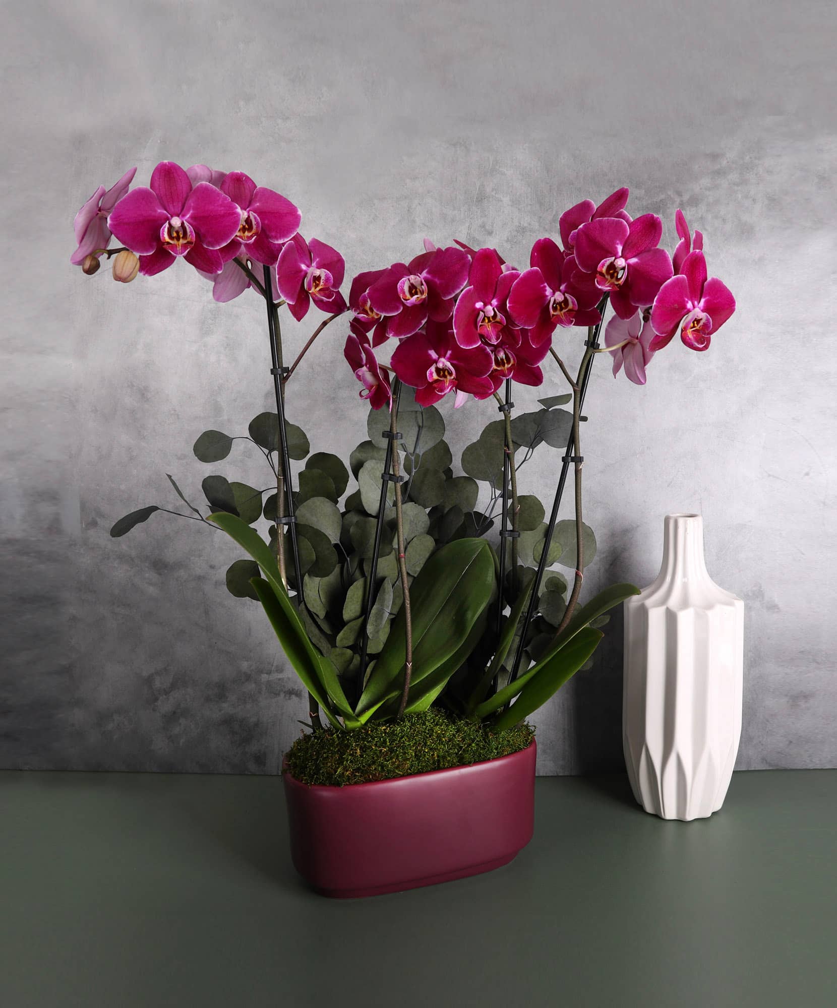 Vibrant purple orchids elegantly displayed in a modern planter, complemented by green foliage.
