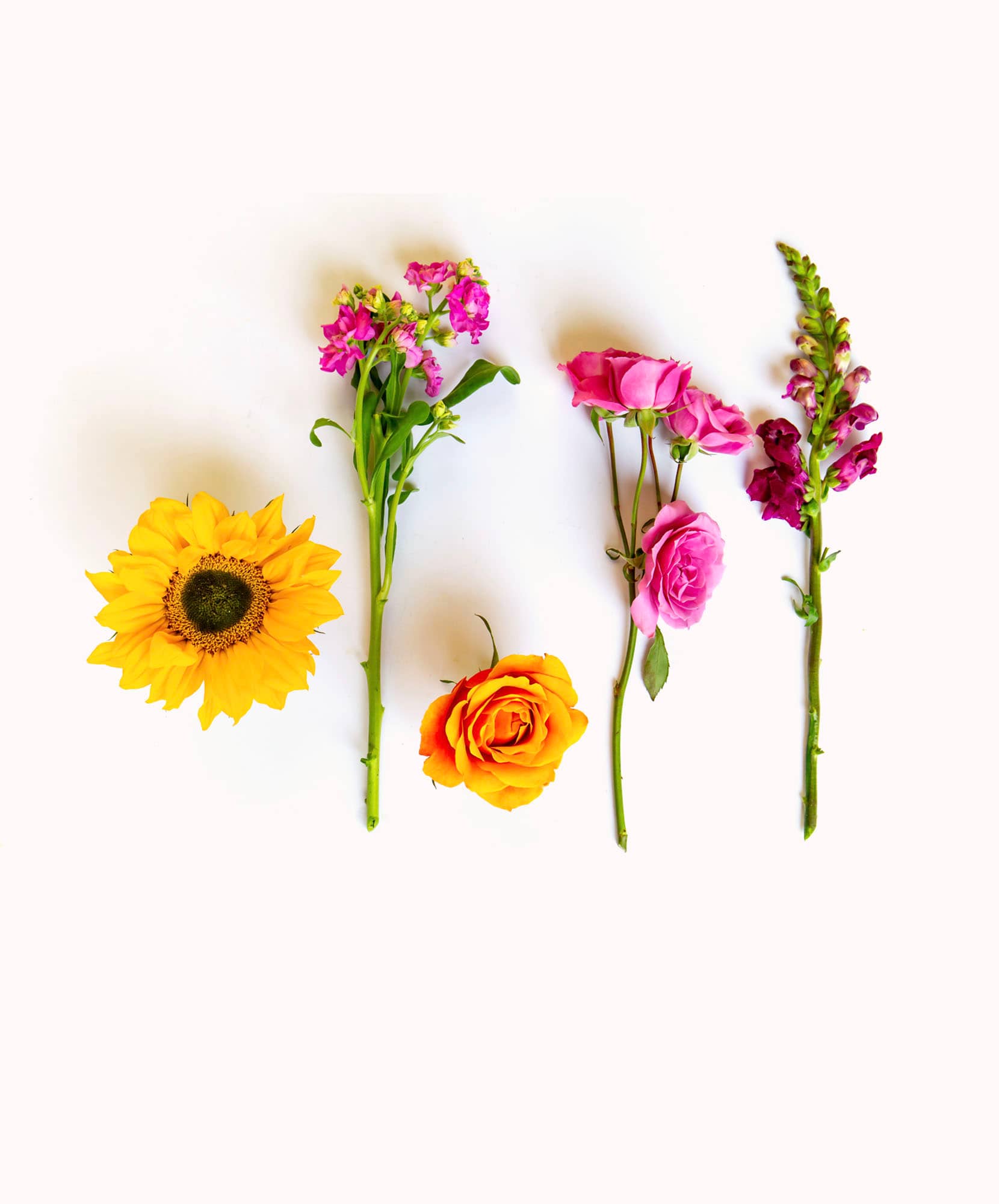 Vibrant floral display featuring sunflowers, pink roses, and assorted blooms.